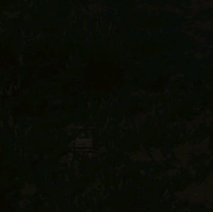 Meet your Posher, Jeffrey